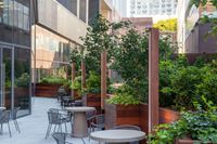 1 University Plaza HD
