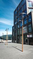 Wood Pole