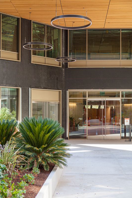 Aura Ring - Cupertino City Center