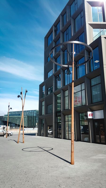 Wood Pole